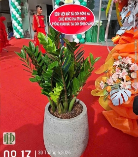 Cây công trình 12